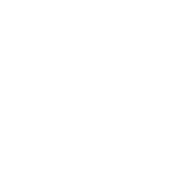 Team Secret Team Sticker - TI 2022
