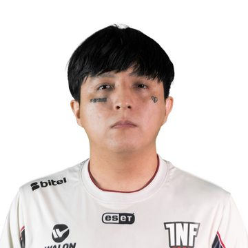 Affliction Player Sticker - TI 2022