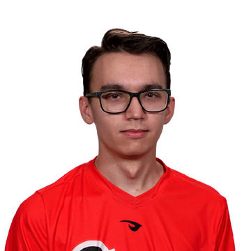Husky Player Sticker - TI 2022