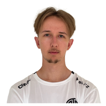 Ari Player Sticker - TI 2023