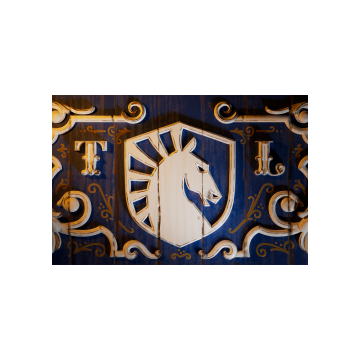 International 2024 Team Loading Screen - Team Liquid