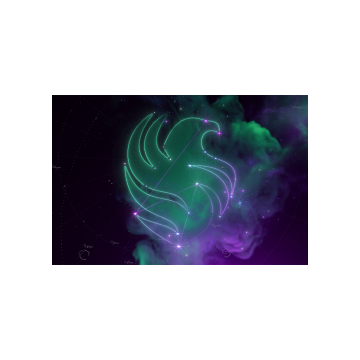 International 2025 Team Loading Screen - Team Falcons