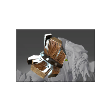 Poor Armor of the Druid