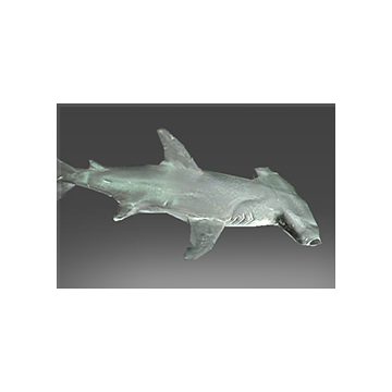 Recluse Reef Denizen