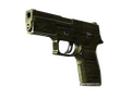 P250 | Железное покрытие