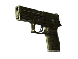 P250 | Железное покрытие