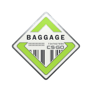Baggage Pin