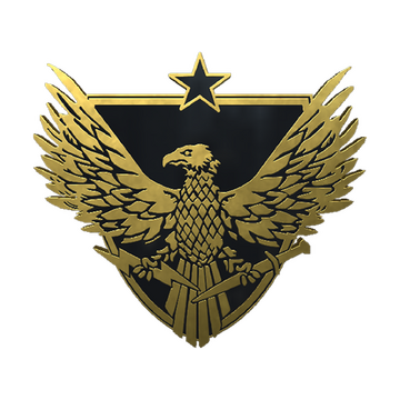 Brigadier General Pin