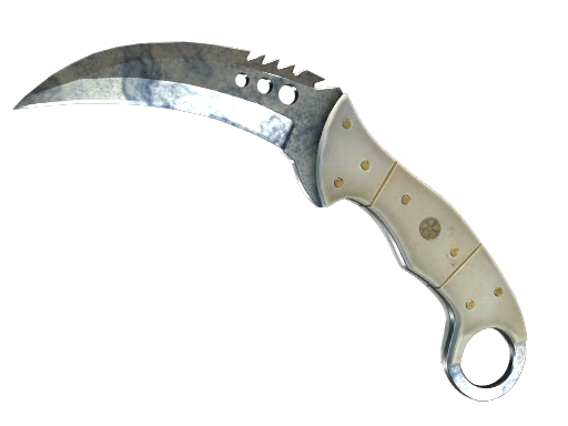 ★ StatTrak™ Talon Knife | Stained (Field-Tested)
