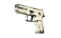 P250 | Whiteout (Battle-Scarred)