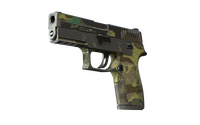 P250 | Boreal Forest (Battle-Scarred)