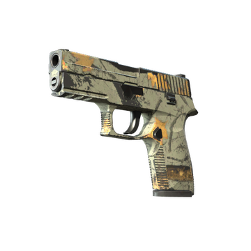 P250 | Современный охотник