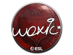 Sticker | woxic | Katowice 2019