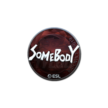 Sticker | somebody (Foil) | Katowice 2019
