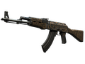 AK-47 | Затерянная земля