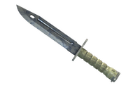 ★ Bayonet | Stained (Factory New)
