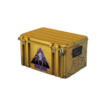 Shattered Web Case