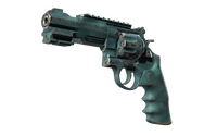 R8 Revolver | Canal Spray (Field-Tested)