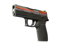 StatTrak™ P250 | Кассета