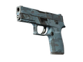 P250 | Лесная ночь