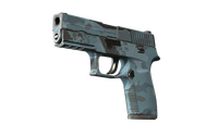P250 | Forest Night (Field-Tested)