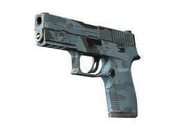 P250 | Лесная ночь