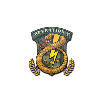 Sticker | Badge of Service