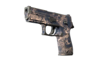 P250 | Drought (Field-Tested)