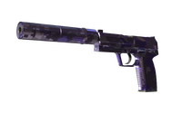 USP-S | Purple DDPAT (Minimal Wear) USP-S — CS2 skin in the Purple case on DuckSkins