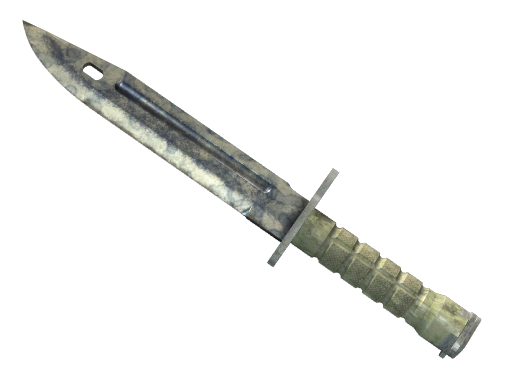 ★ Bayonet | Stained (Battle-Scarred)