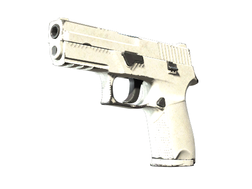 P250 | Whiteout (Well-Worn)