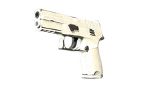 P250 | Whiteout (Well-Worn)