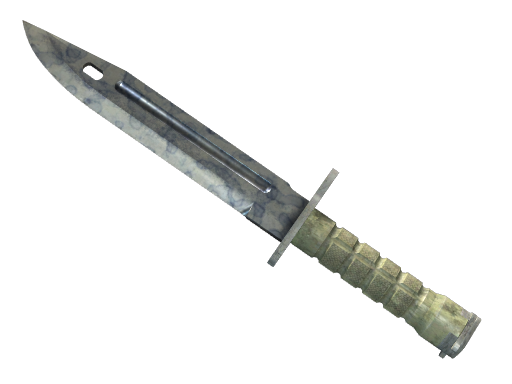 ★ StatTrak™ Bayonet | Stained (Field-Tested)
