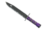 ★ StatTrak™ Bayonet | Ultraviolet (Field-Tested)