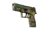 Souvenir P250 | Boreal Forest (Field-Tested)