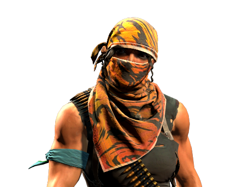 Guerrilheiros