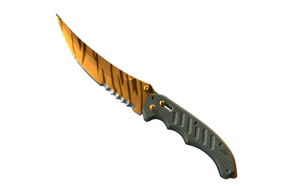 Tiger Tooth