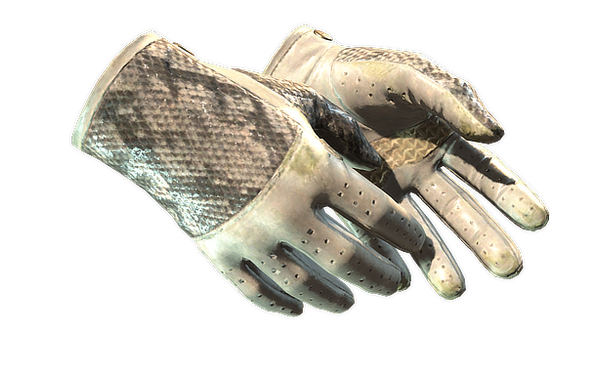 gloves-king-snake