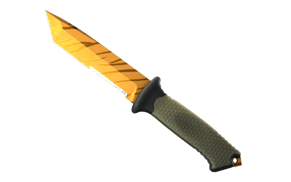Tiger Tooth