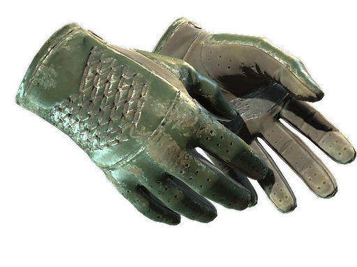 Produto ★ Driver Gloves | Racing Green