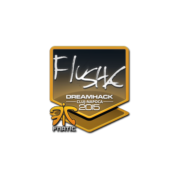 Sticker | flusha | Cluj-Napoca 2015