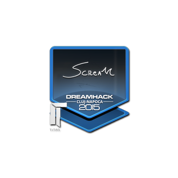 Sticker | ScreaM | Cluj-Napoca 2015