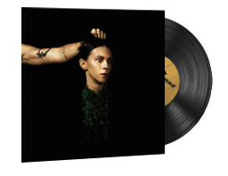 StatTrak™ Music Kit | PVRIS, Evergreen