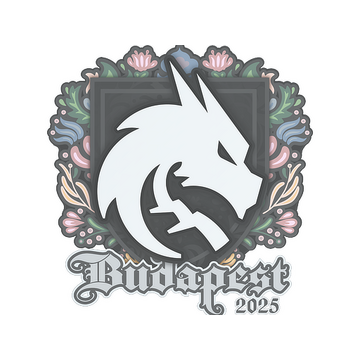 Sticker | Team Spirit | Budapest 2025