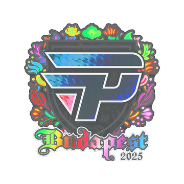Sticker | paiN Gaming (Holo) | Budapest 2025