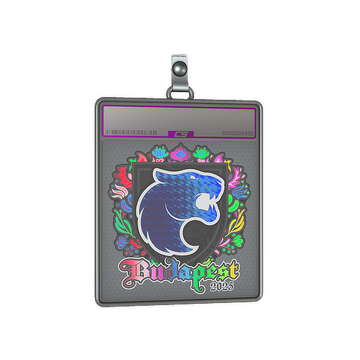 Sticker Slab | FURIA (Holo) | Budapest 2025