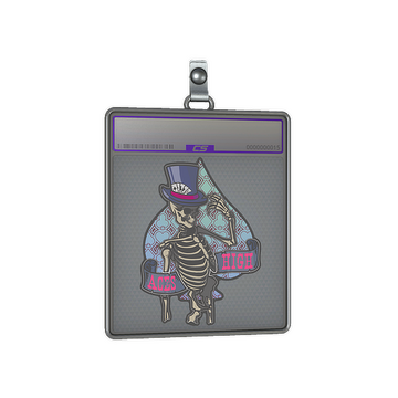 Sticker Slab | Aces High (Holo)