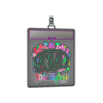 Sticker Slab | kyousuke (Holo) | Budapest 2025