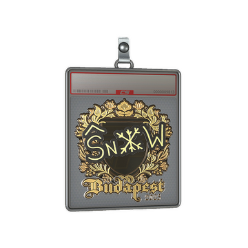 Sticker Slab | snow (Gold) | Budapest 2025