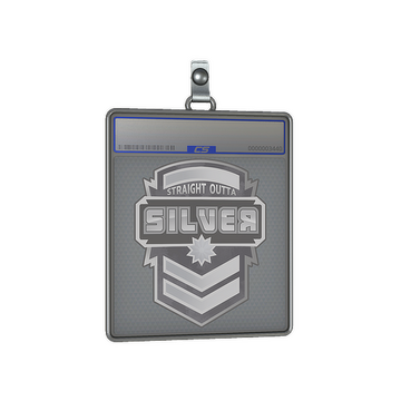 Sticker Slab | Silver
